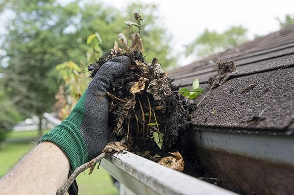 professional gutter cleaning may involve using ladders, gutter scoops, and high-powered vacuums for a thorough and efficient cleaning process